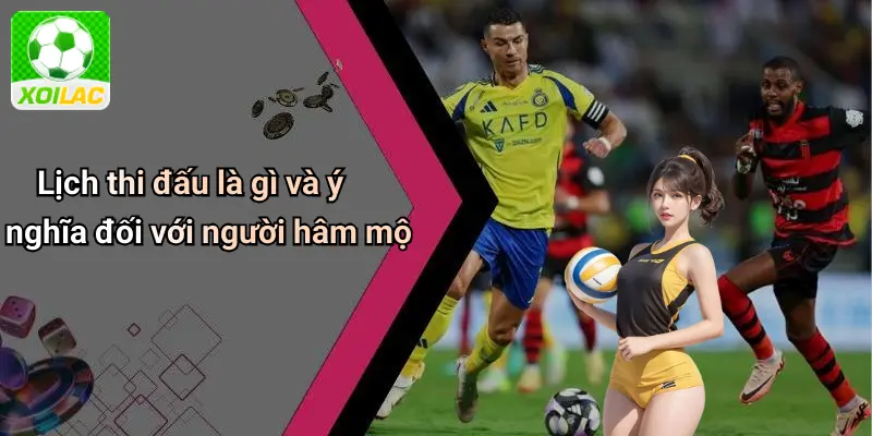 Lịch thi đấu là gì và ý nghĩa đối với người hâm mộ