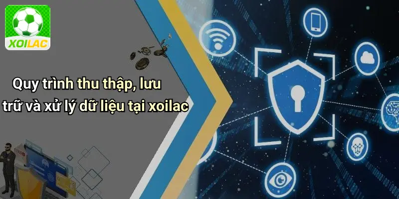 Quy trình thu thập, lưu trữ và xử lý dữ liệu tại xoilac