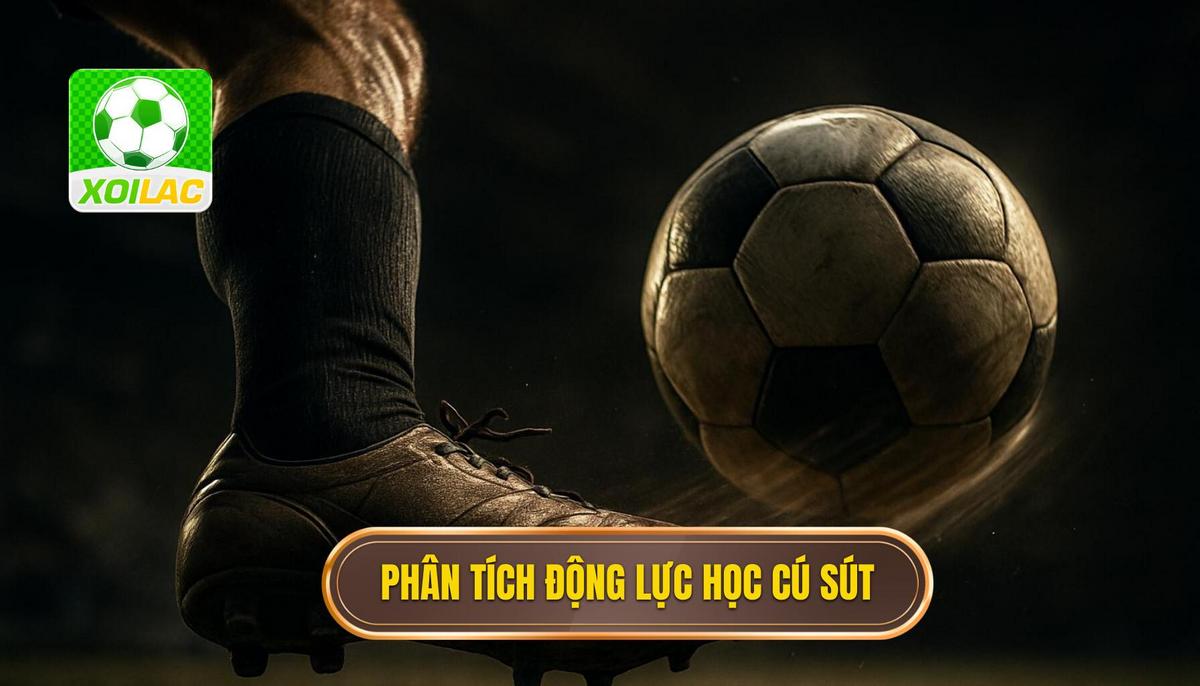 Phân Tích Chuyên Sâu Về Động Lực Học Cú Sút