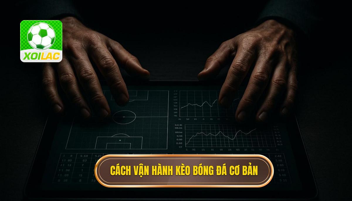 Bản chất và cách vận hành của kèo thắng hòa thua trong bóng đá