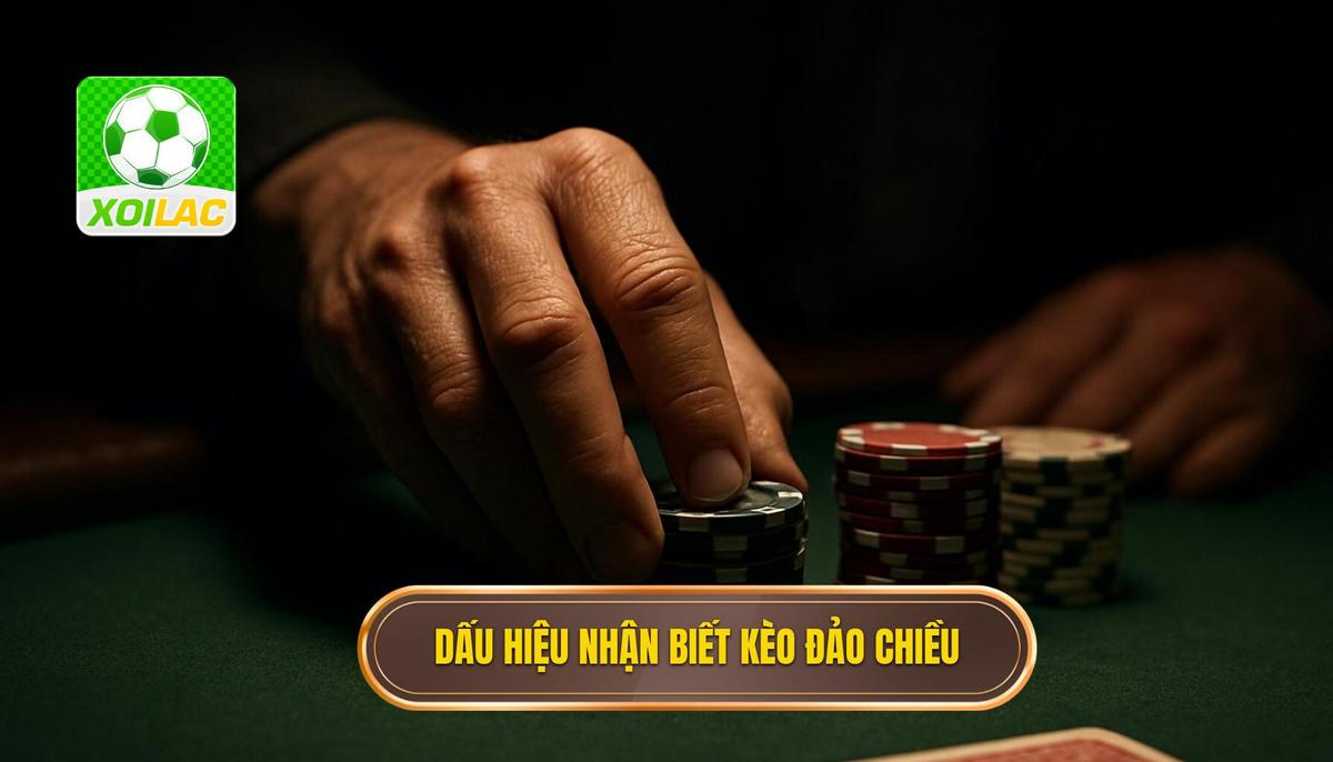 Dấu hiệu nhận biết kèo đảo chiều sớm nhất