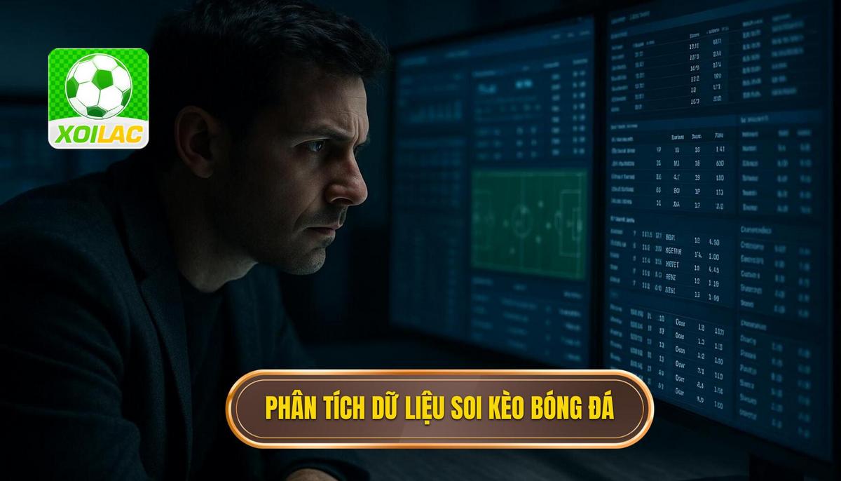 Phân tích dữ liệu định lượng và định tính trong soi kèo