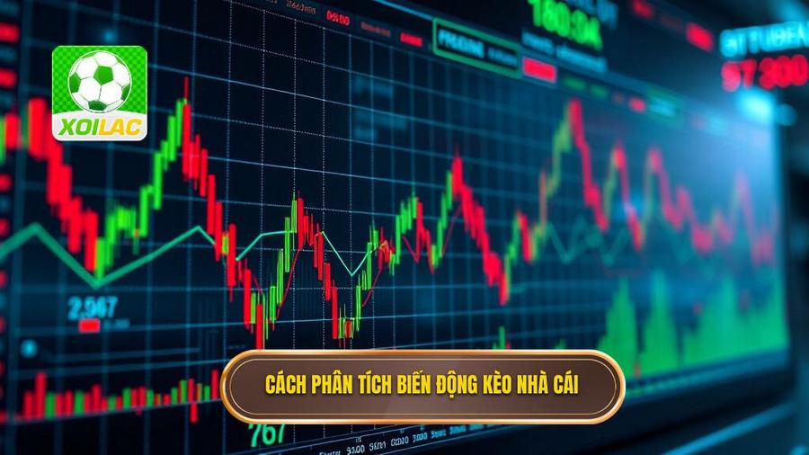 3. Cách phân tích biến động kèo nhà cái