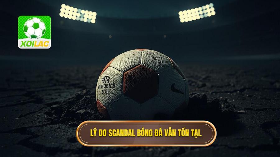 3. Lý do scandal bóng đá vẫn tồn tại.