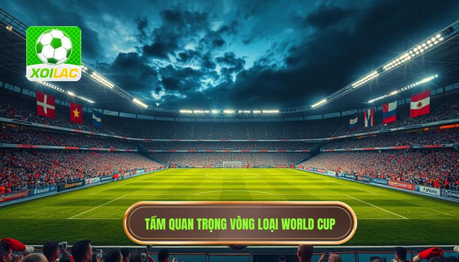 Tầm quan trọng vòng loại World Cup