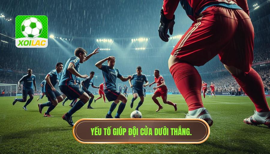 Các yếu tố giúp đội cửa dưới tạo nên bất ngờ